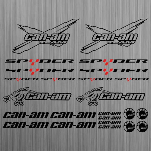Pour can canam - team, brp
