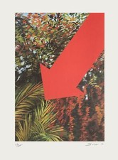 Sacha SOSNO FORCE 6 BEAUFORT