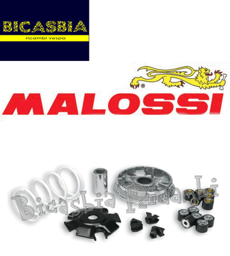 5048 variateur malossi - -,