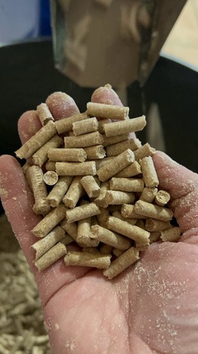 Pellets carpe csl - de,