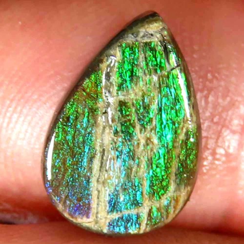 Cabochon poire ammolite - cabochon,
