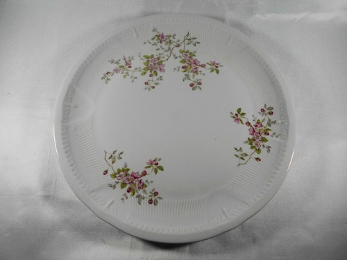 Plat grande assiette - (, )
