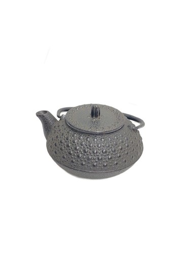 Théière japonaise nambu - théière,