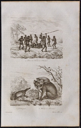 1835 australie danse - :,