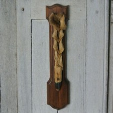 French Deer Foot Hunting Trophy Taxidermy Wall Decor