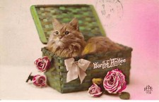 Animaux - n°79833 - Chat - Bonne Année - Chat dans un panier en osier vert