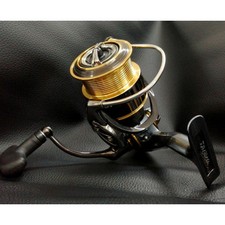 DAIWA Swining Reel 17 THEORY