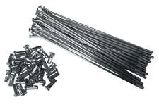 Rayon 36x Avec Mamelon Kit de