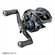 DAIWA 21 STEEZ A TW HLC 7.1R