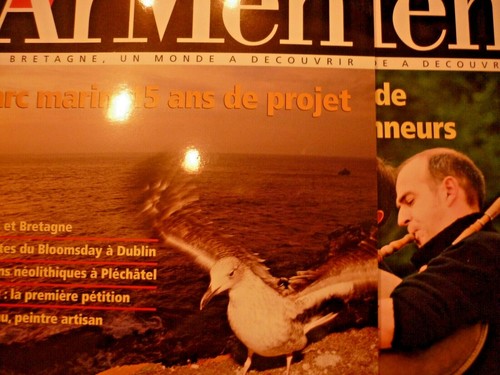 Lot armen - ,
