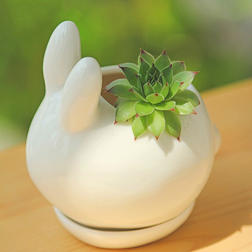 Pot fleur ceramique mini - fleur,