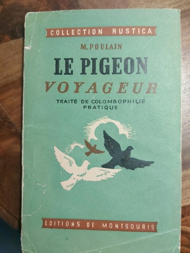 Pigeon voyageur traité - pigeon, voyageur,