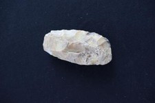 Rare Préhistorique North