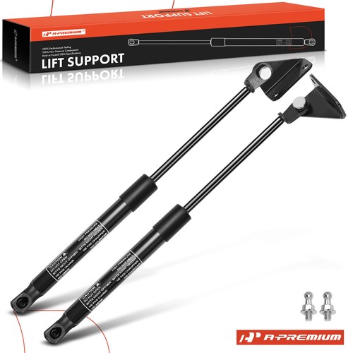 Premium hood lift - 2x,