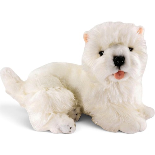 Carl dick westie - dick, westie,