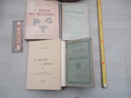 Volumes bécasse bécassine - volumes,