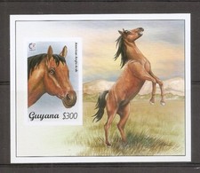 Guyana SC # 2949 American