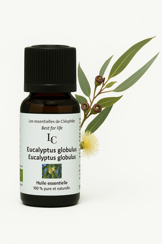 Huile essentielle eucalyptus - huile,
