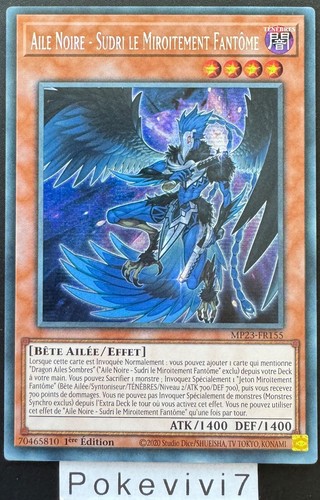 Carte aile noire - aile,