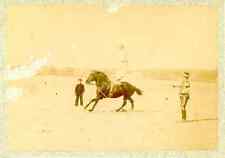 France, Voltige équestre