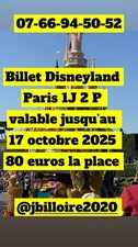 ?️ Billet Disneyland Paris – 1 Jour / 2 Parcs – Enfant ou Adulte – 80 €
