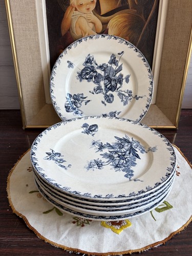 Assiettes plates - assiettes,