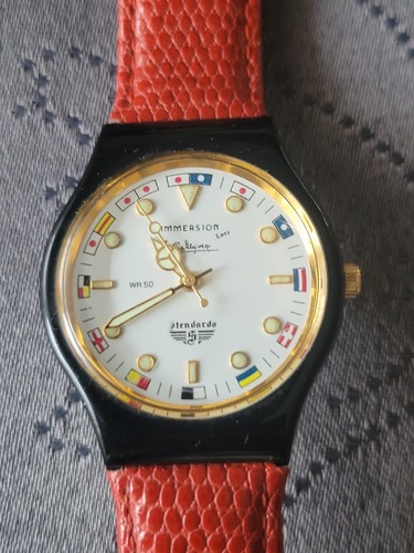 Montre bracelet immersion easy - montre,