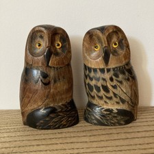Couple hiboux chouette - couple,