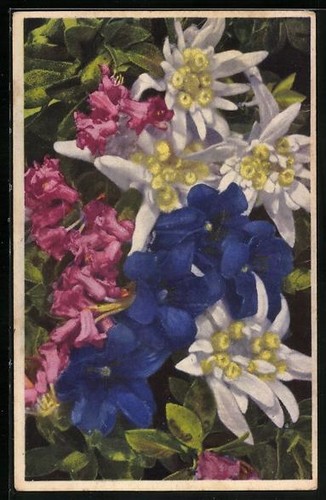 Carte postale artiste - carte, d'artiste