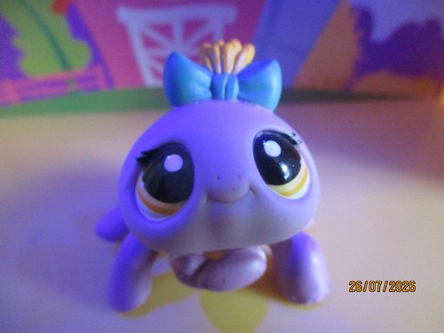 Petshop araignée 1031 - petshop,