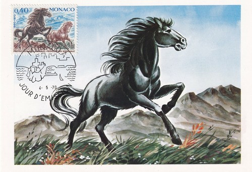 Carte postale postcard 1er