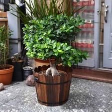 Pot de fleurs en bois pour