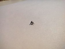 ETA 2894-PIECES MODULE 8510