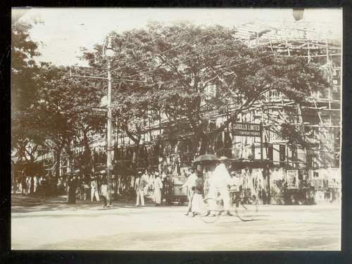 Ceylan - ceylan, lanka)