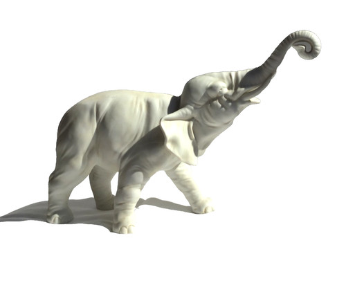 Grand elephant biscuit - biscuit, blanc