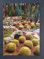 ELCHE HUERTO DEL CURA