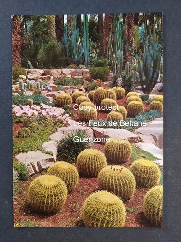 Elche huerto del - elche,