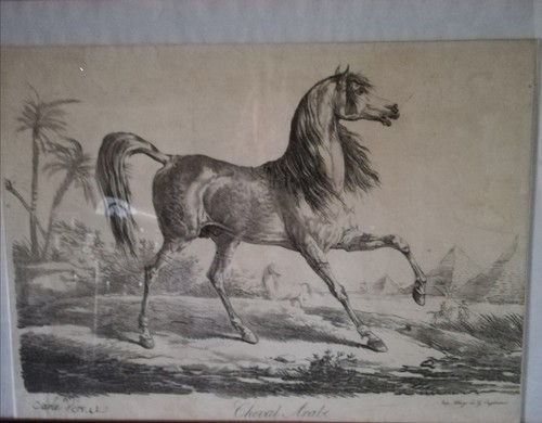 Lithographie carl vernet - lithographie,
