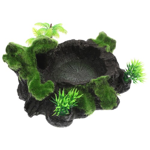Accessoires pour reptiles bol - pour,