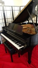 Steinway Model M 1981 Grand