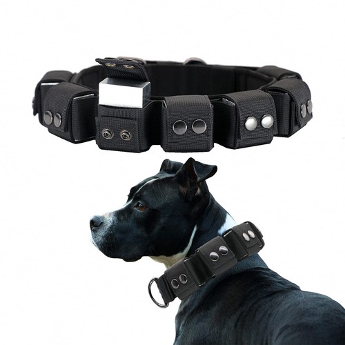 Collier pour chien tactique - chien,
