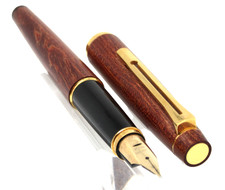 MAGNIFIQUE STYLO PLUME PILOT