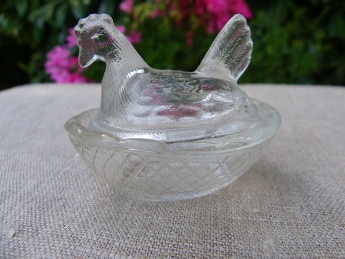 Toute petite poule sur son - petite,