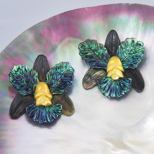 Paire orchidée fleurs - orchidée,