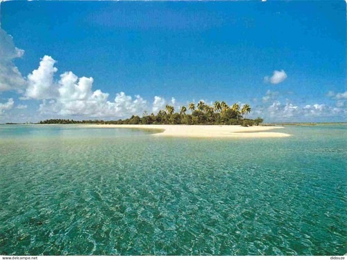 Carte postale polynésie - -,