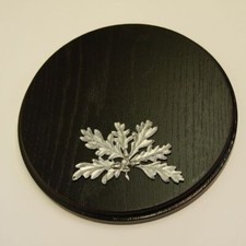 Plaque de Sanglier Planche