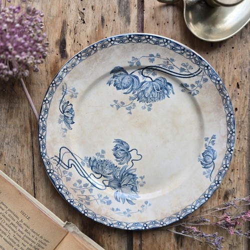 Sublime assiette plate - assiette, à