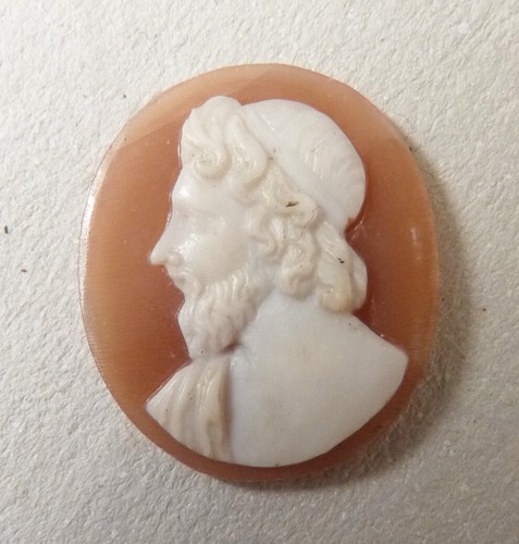Camée sur coquille 19e