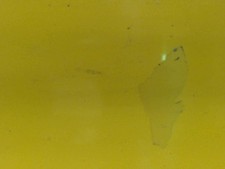 Porte avant droit AIXAM 500.4