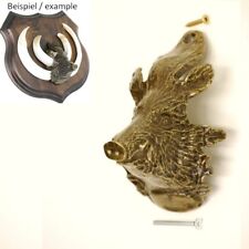 Sanglier Tête Ornement pour Forte Armes de Sanglier Trophées Sanglier - Grand